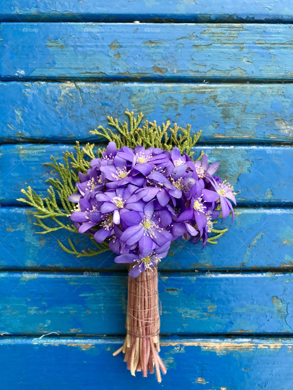 Bouquet of first spring flowers 