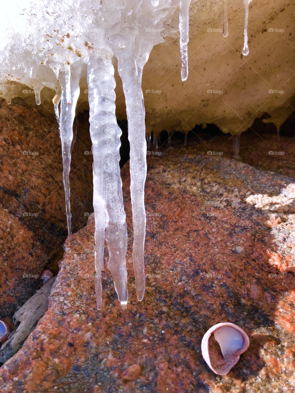 Icicles at the beach