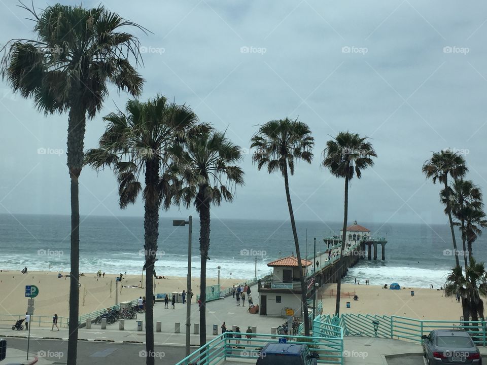 Manhattan Beach Ca