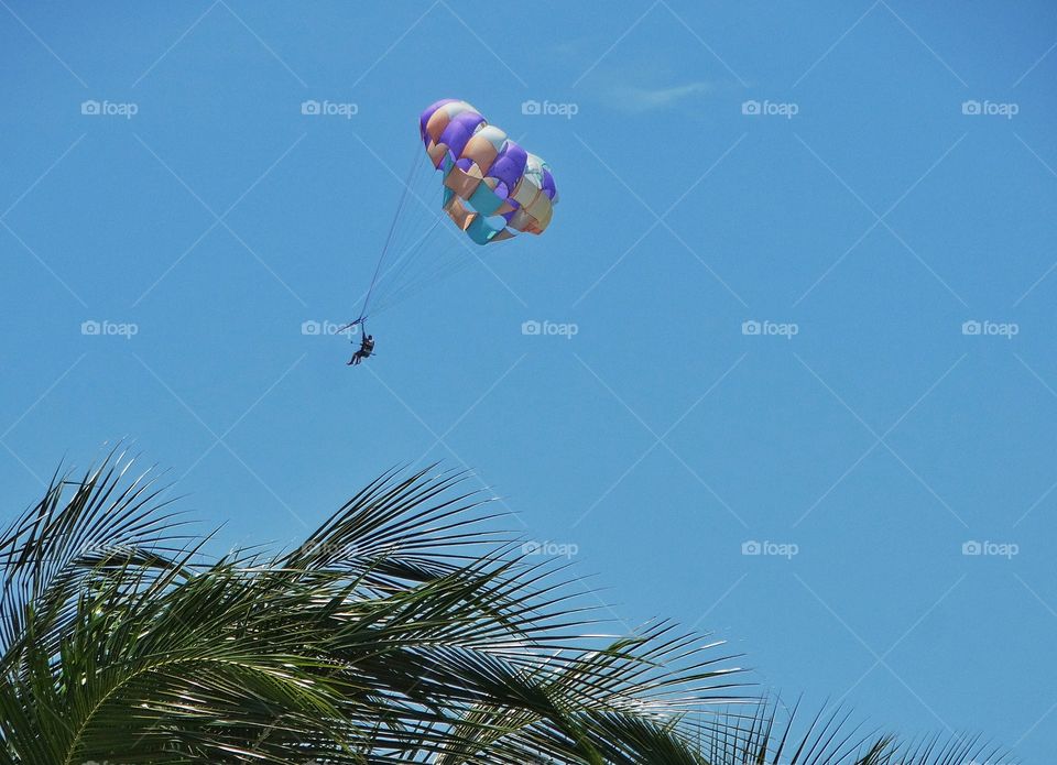 Parasailing In The Tropics
