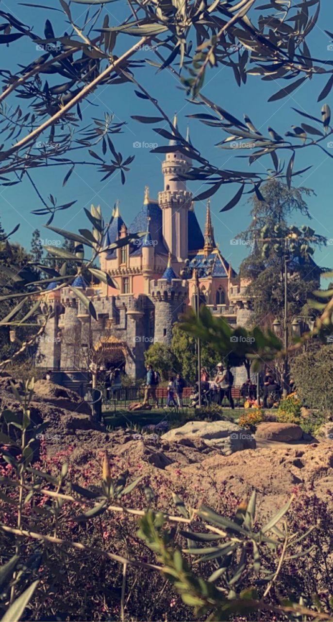 Disney castle from far ❤️