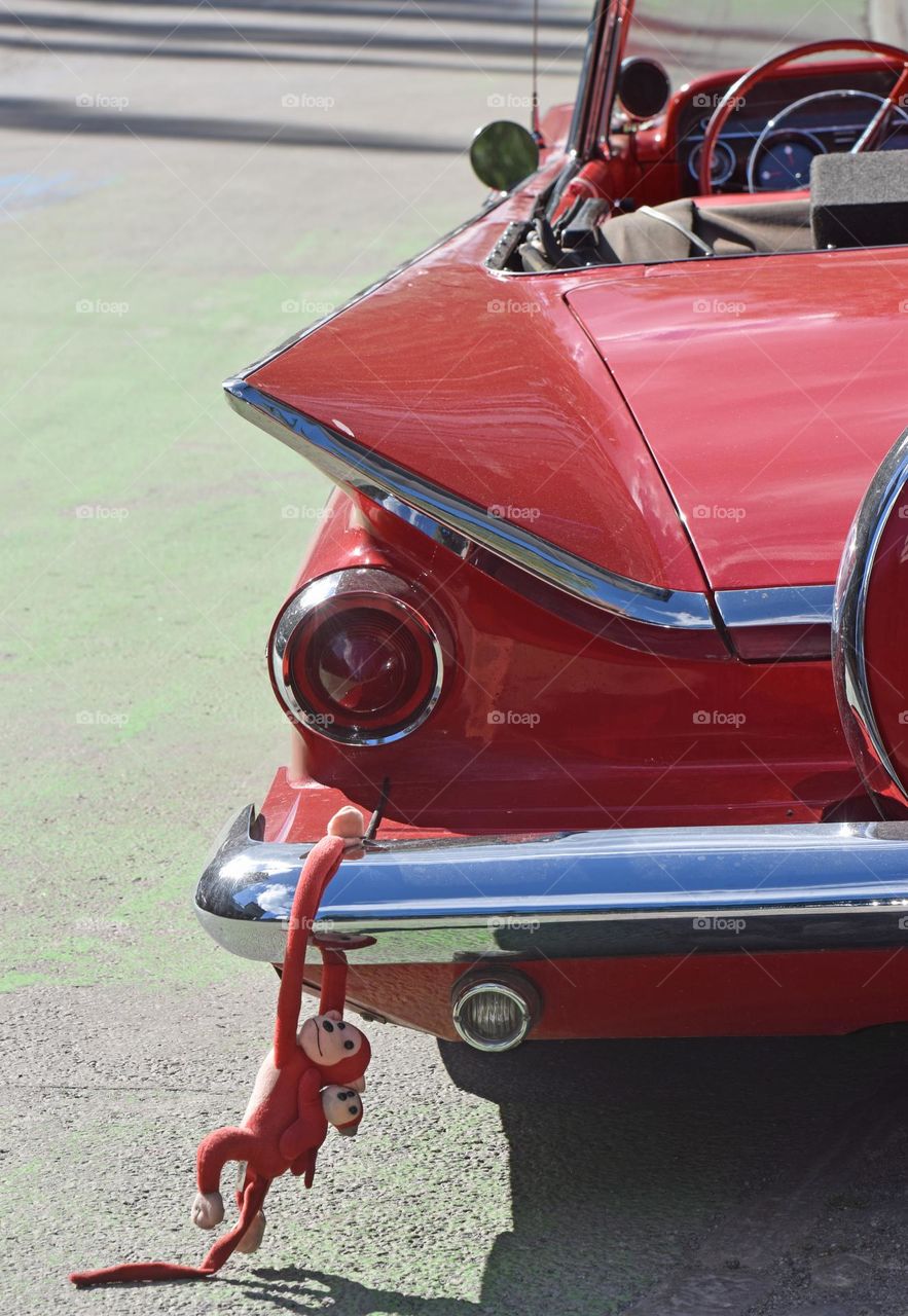 monkey on The bumper