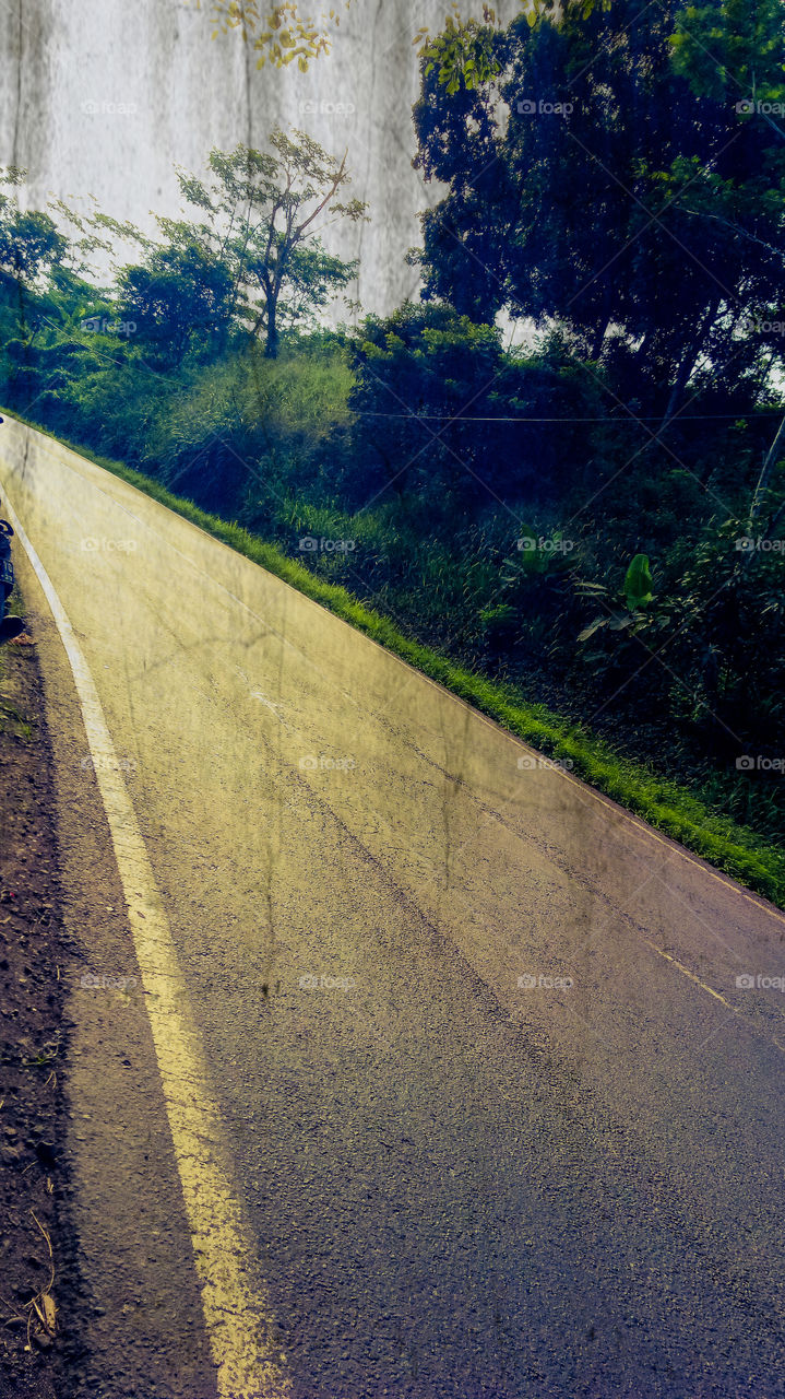 nature photo design color full