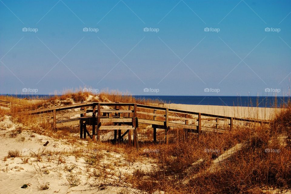 View of boardwalk to the beach