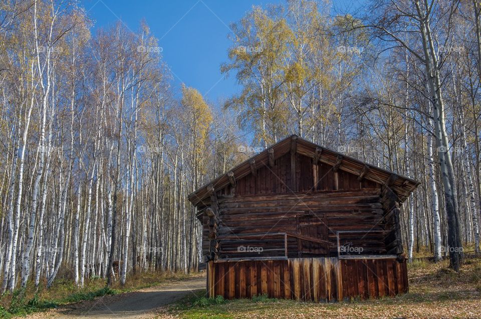 Barn in Siberia 