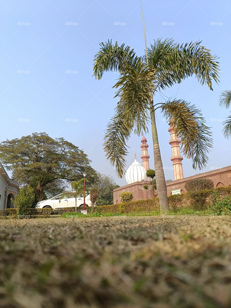 Nice mix of nature and urban scenery! The palm tree adds a tropical touch to the cityscape.That's a cool shot with the palm tree and the tall building! It's like nature meets the city vibe.