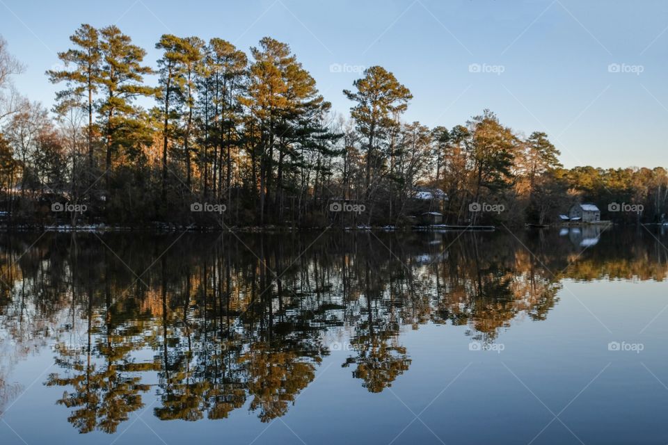 Late afternoon sunshine falls upon the trees across the pond with mirror like reflections on the placid surface at Yates Mill County Park in Raleigh North Carolina.