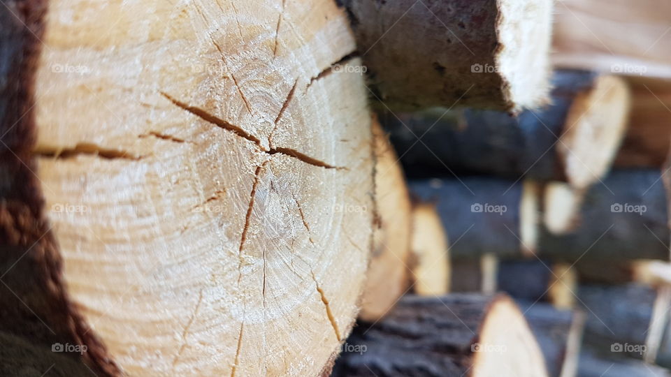 a Firewood Close up
