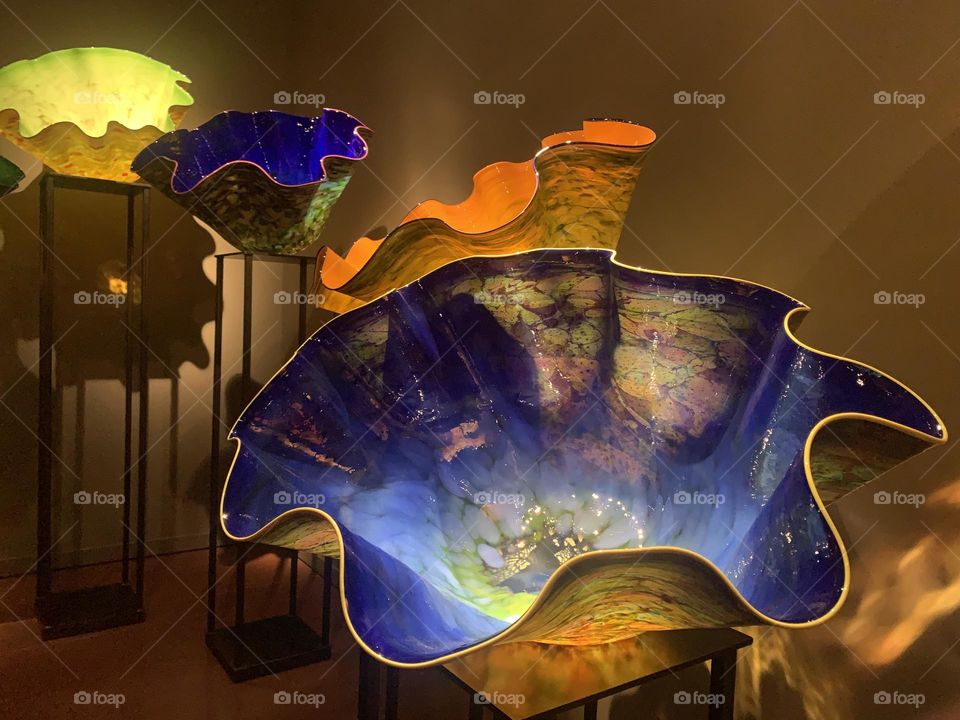 “ glass artwork” immersive enjoying 