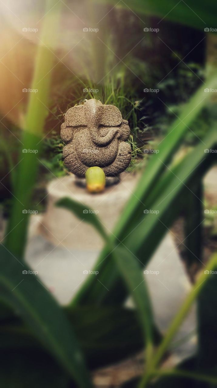 Shri Ganesha