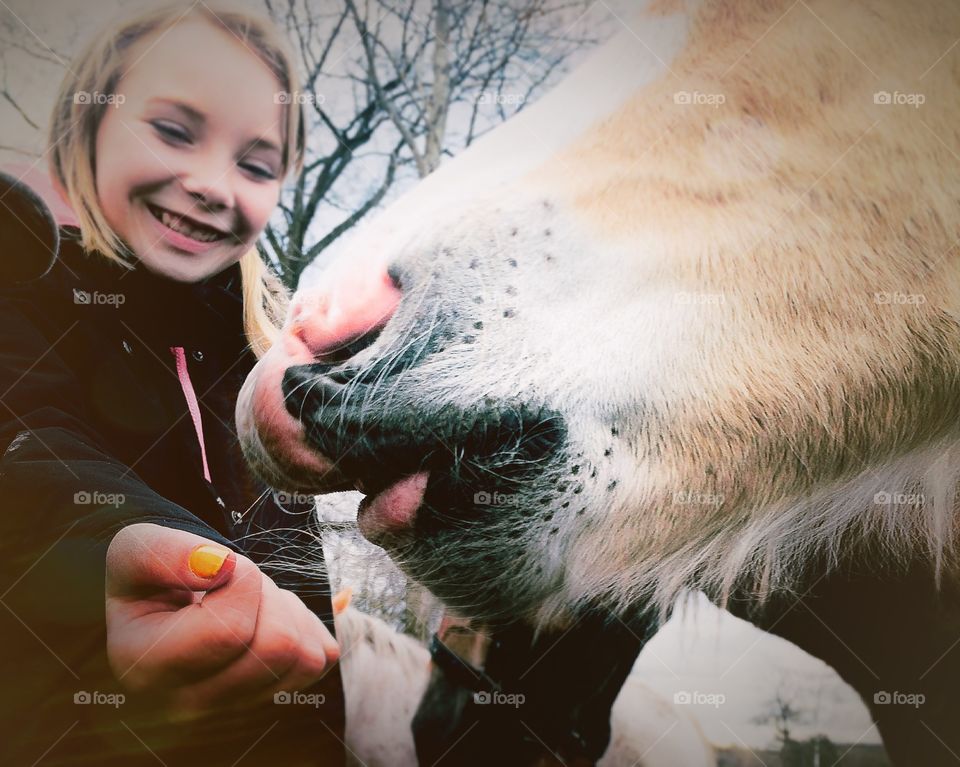 Cute foal mule