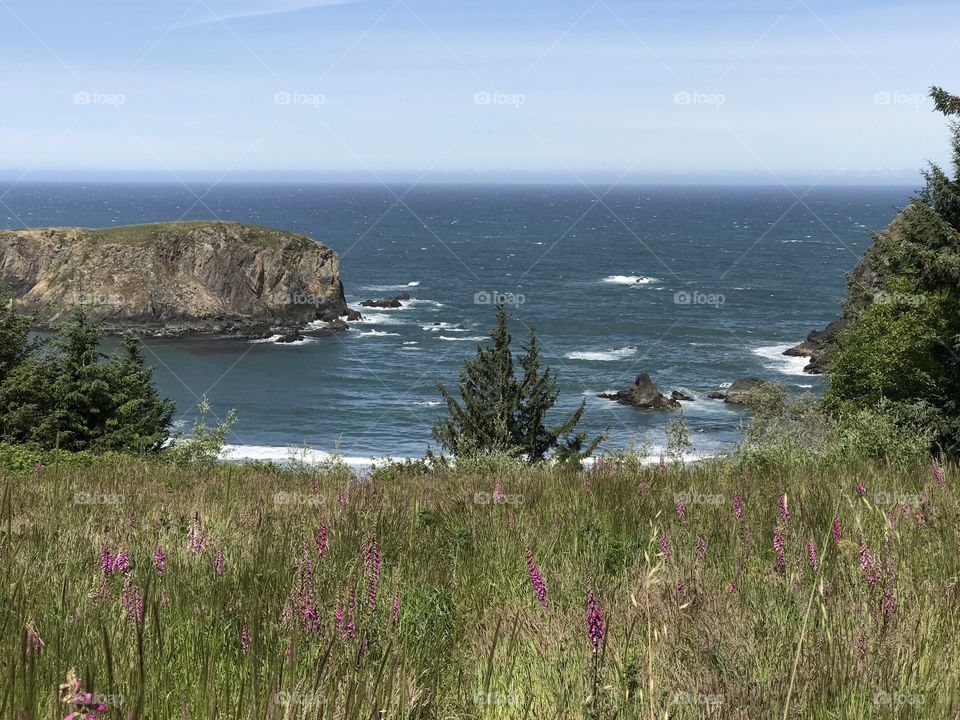 Whale’s Head, Oregon