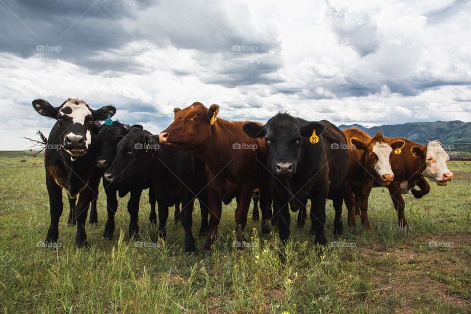 Gonna drop the hottest album 2019