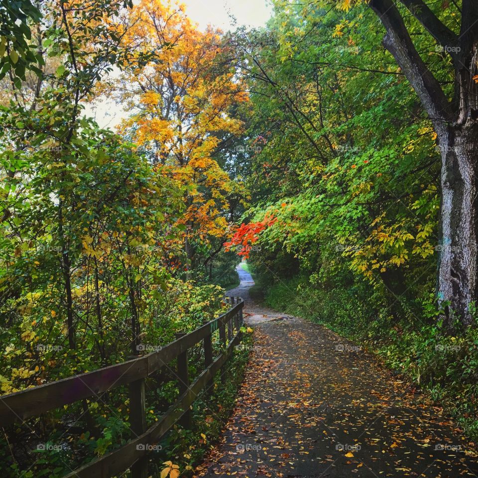 A beautiful fall morning 