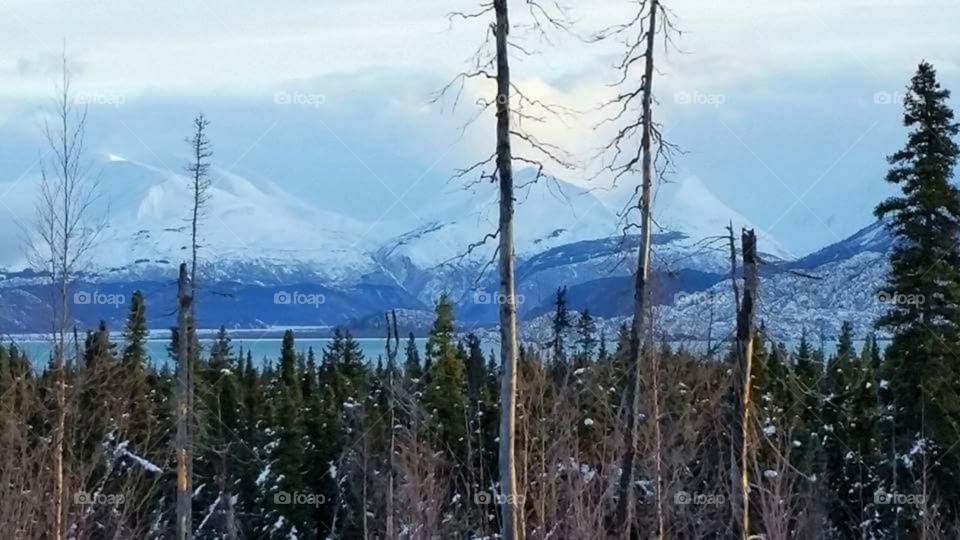 Alaskan winter wonderland.