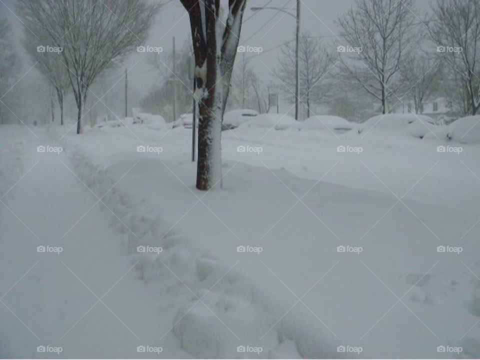 Snow storm 
