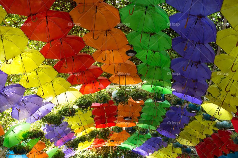 Colourful umbrellas in colours of Pride month 