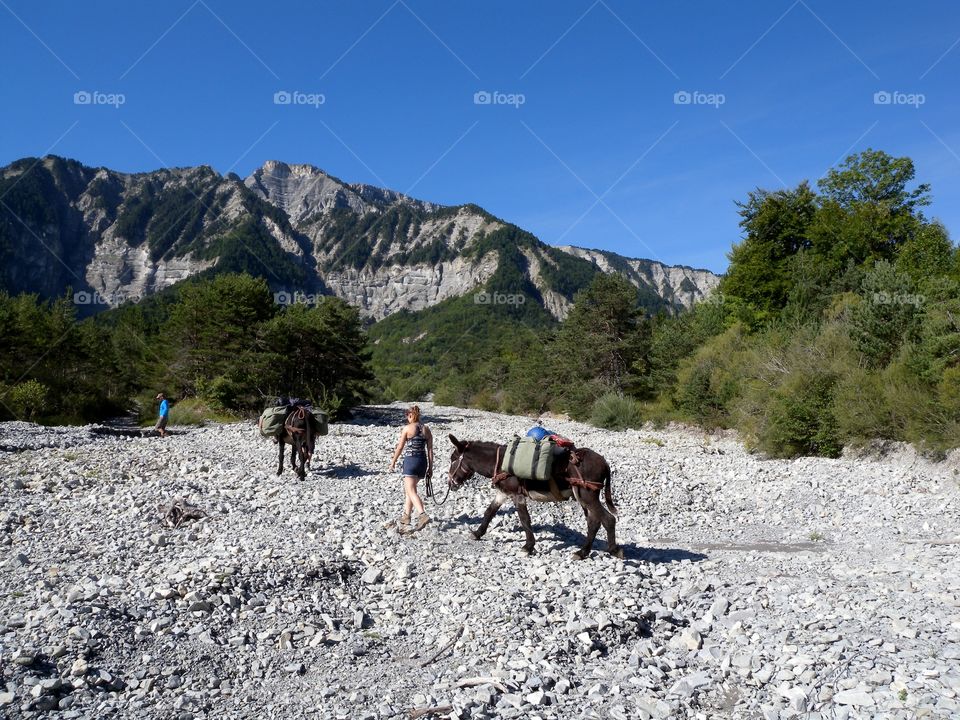 Esel, Eselwandern, Wandern mit Esel, Hiking with a Donkey