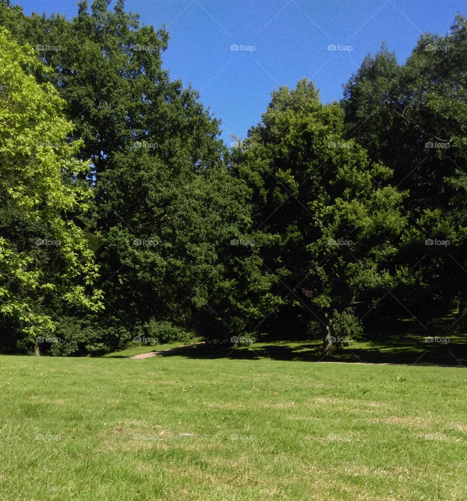 Park life. Forstbaumschule