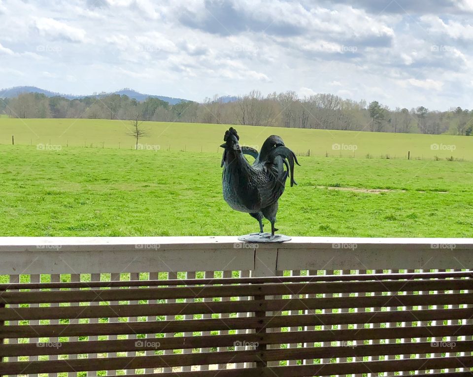 Rooster ornament on porch railing 