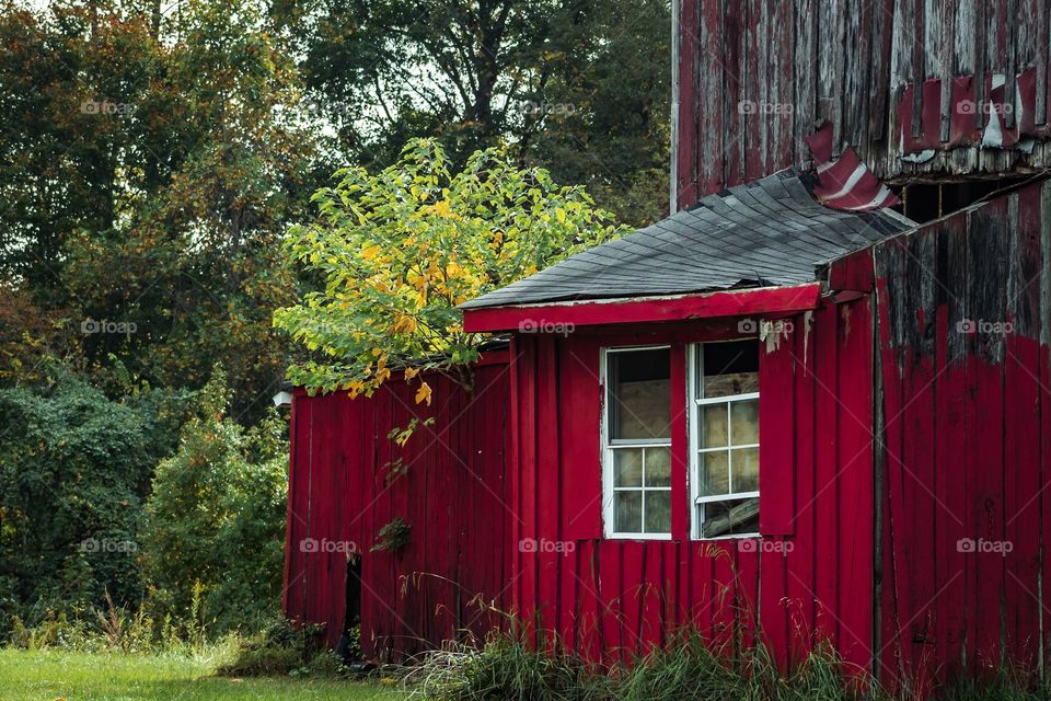 Rustic Red barn in fall
