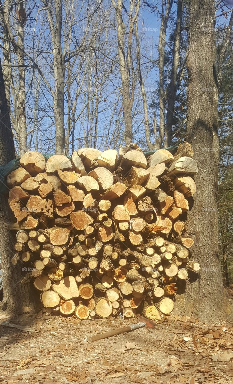February wood pile