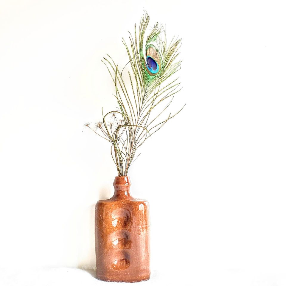 Minimalistic high key picture from a briwn ceramic vase with dried flower and peacock feather in white environment