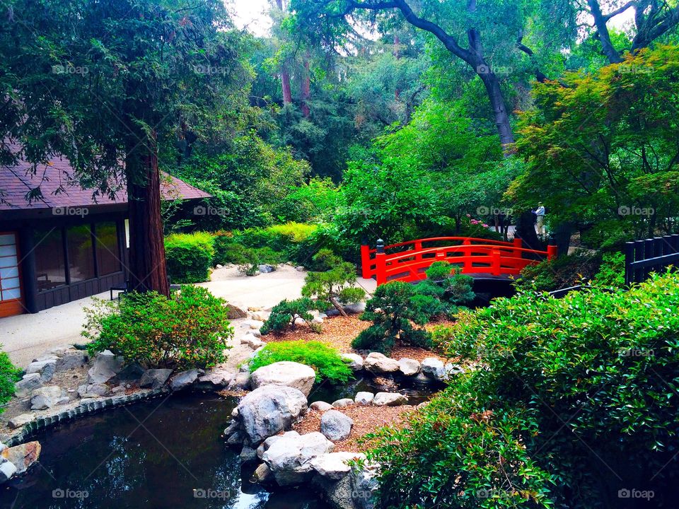 Red bridge in the gardens . Photo taken at Descanso Gardens 