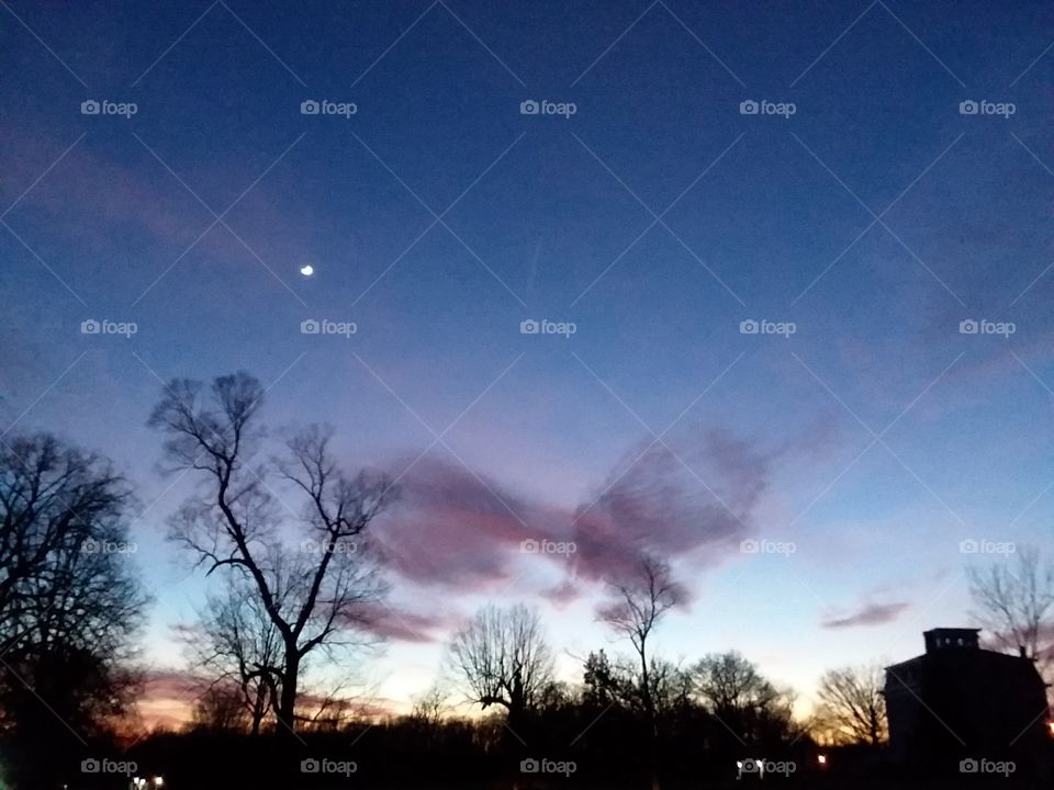 The moon watching over us