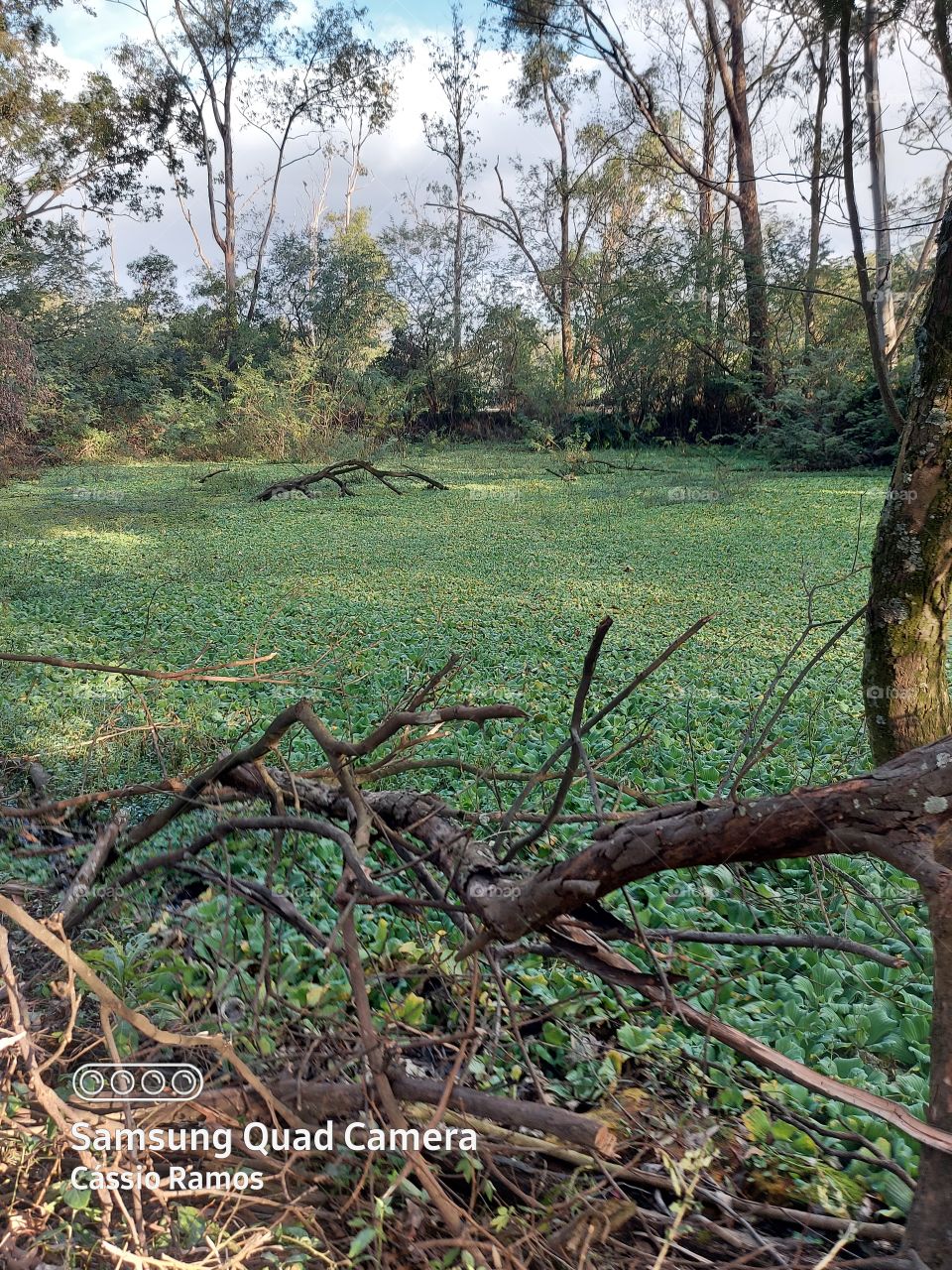 Só tenho agradecer por ver uma coisa dessa