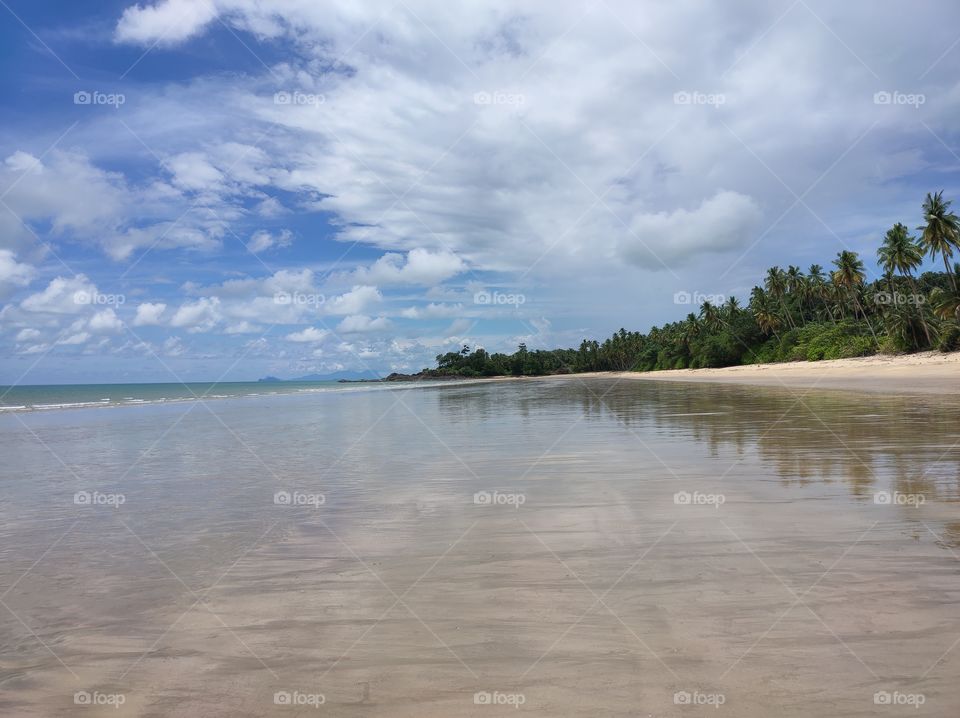 the beauty of the scenery on the beach in the afternoon