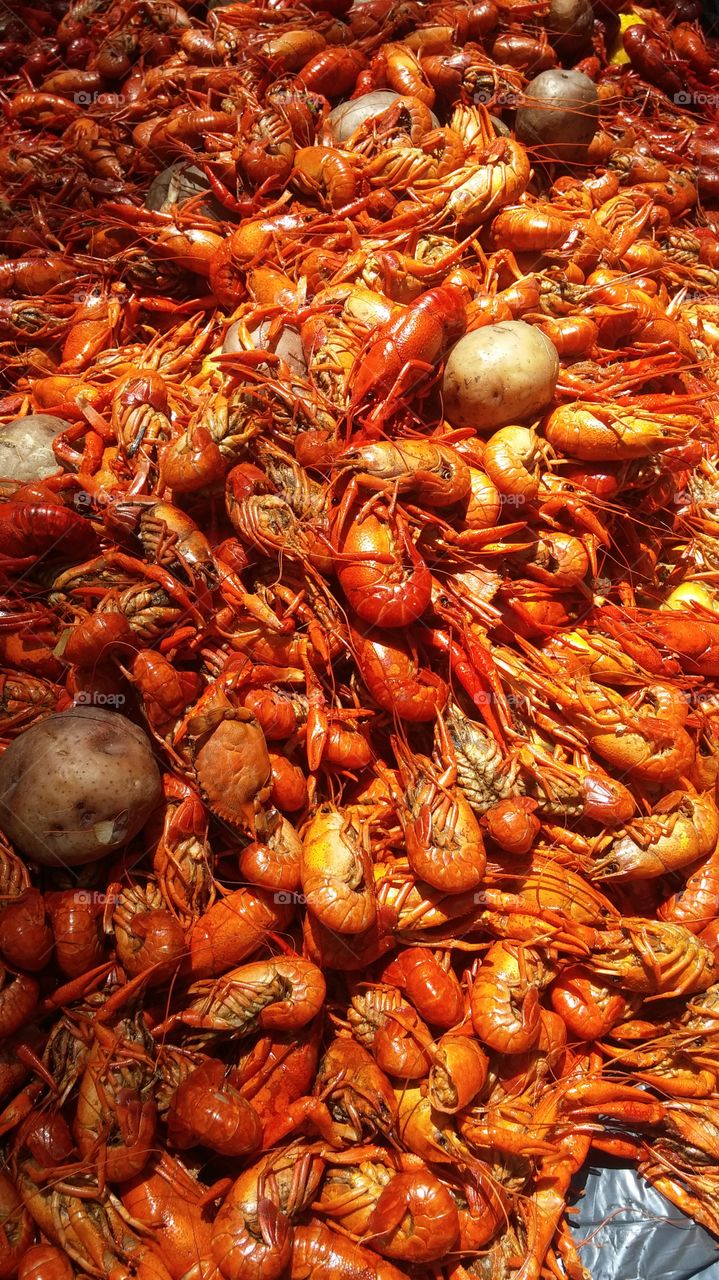 Mississippi mud bugs