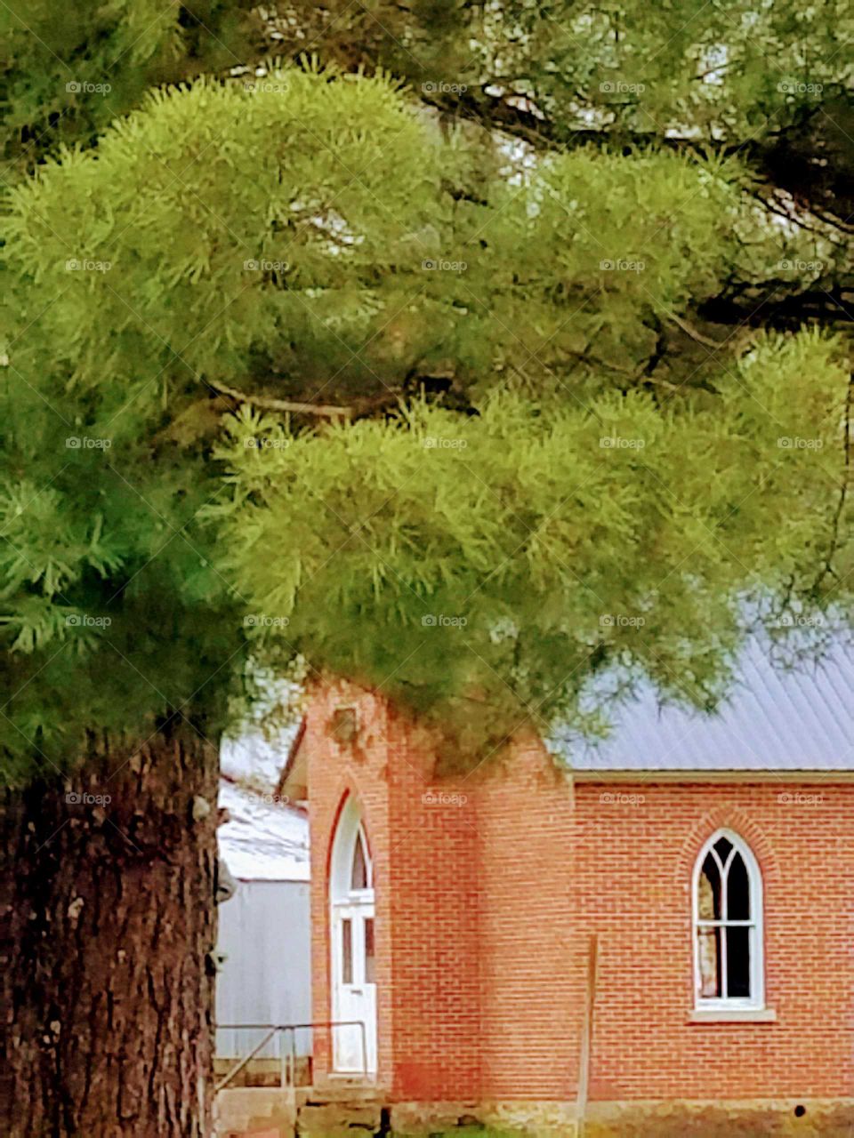 Driving the Back Roads and enjoying everything around us