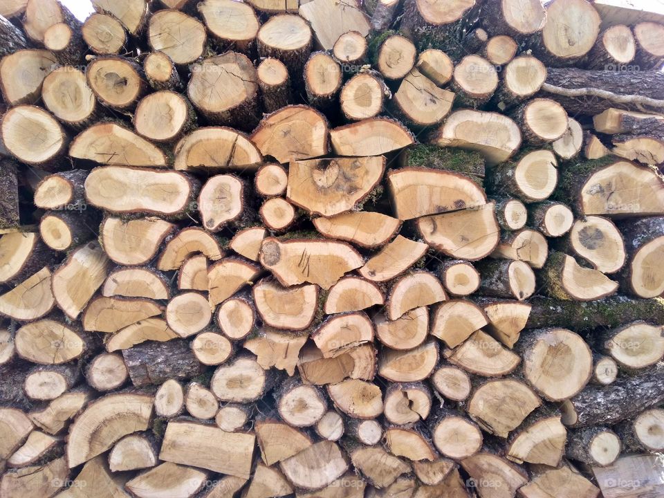 Editors' Choice: Photo of the Week