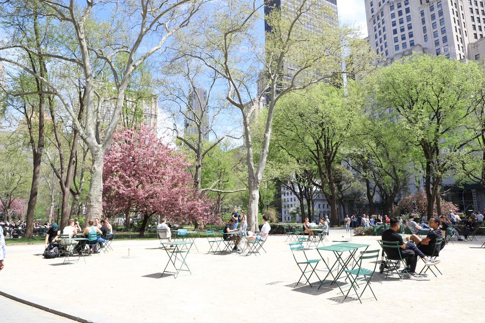 People in the park on a sunny day