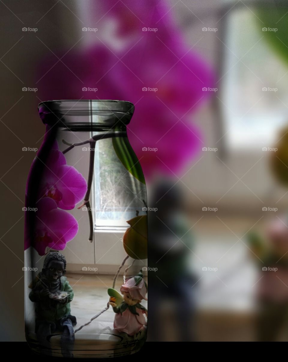 Orchid in a bottle