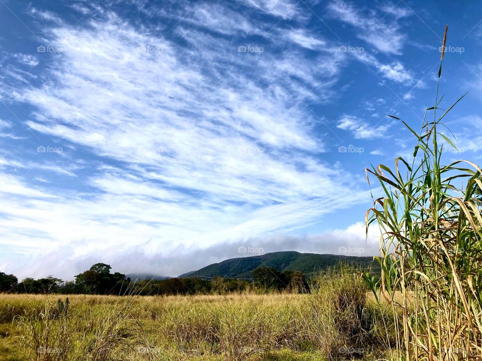 O céu azul ainda resiste, ali próximo da Serra do Japi. Mas o frio e as nuvens vêm chegando…
Fotografar desestressa!