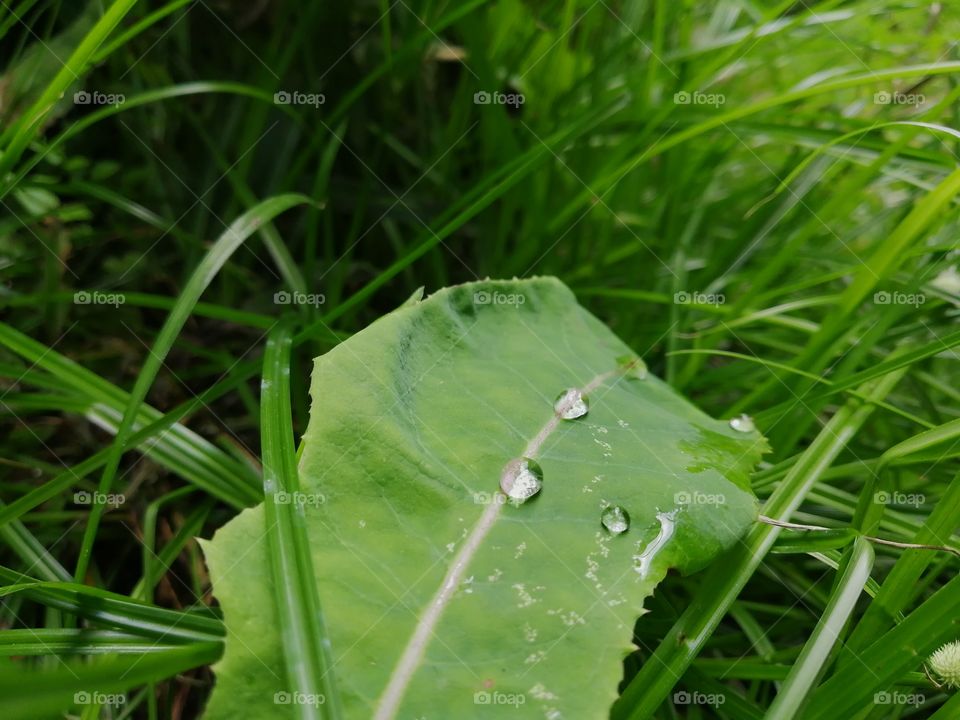 Droplets