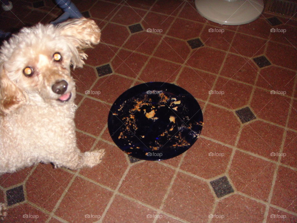 Hey look I ate everything on my plate!