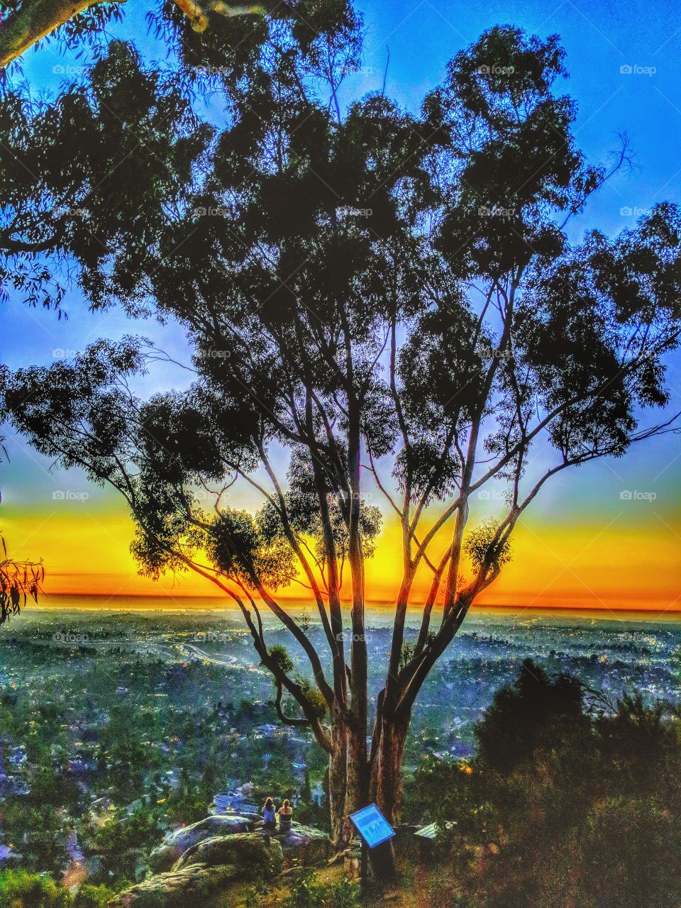 ILLUMINATION of Lights