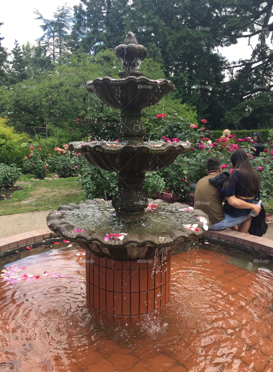 romance by the fountain