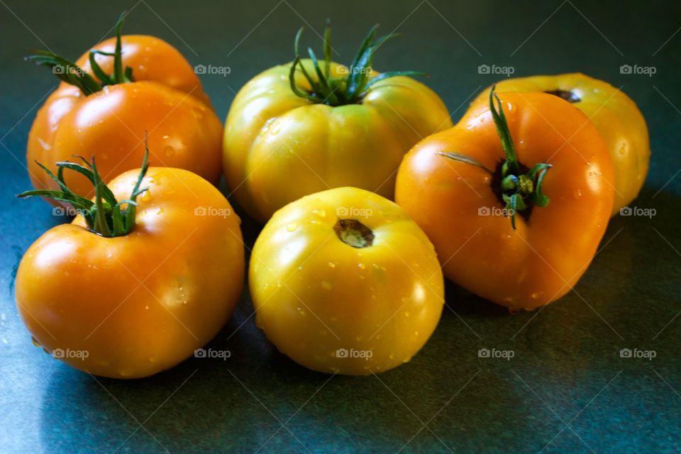 Freshly picked yellow and orange tomatoes on green counter in natural light 