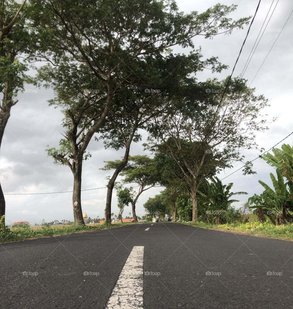 Beautifull road with green view