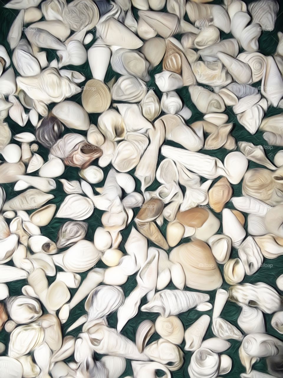 seashell blur