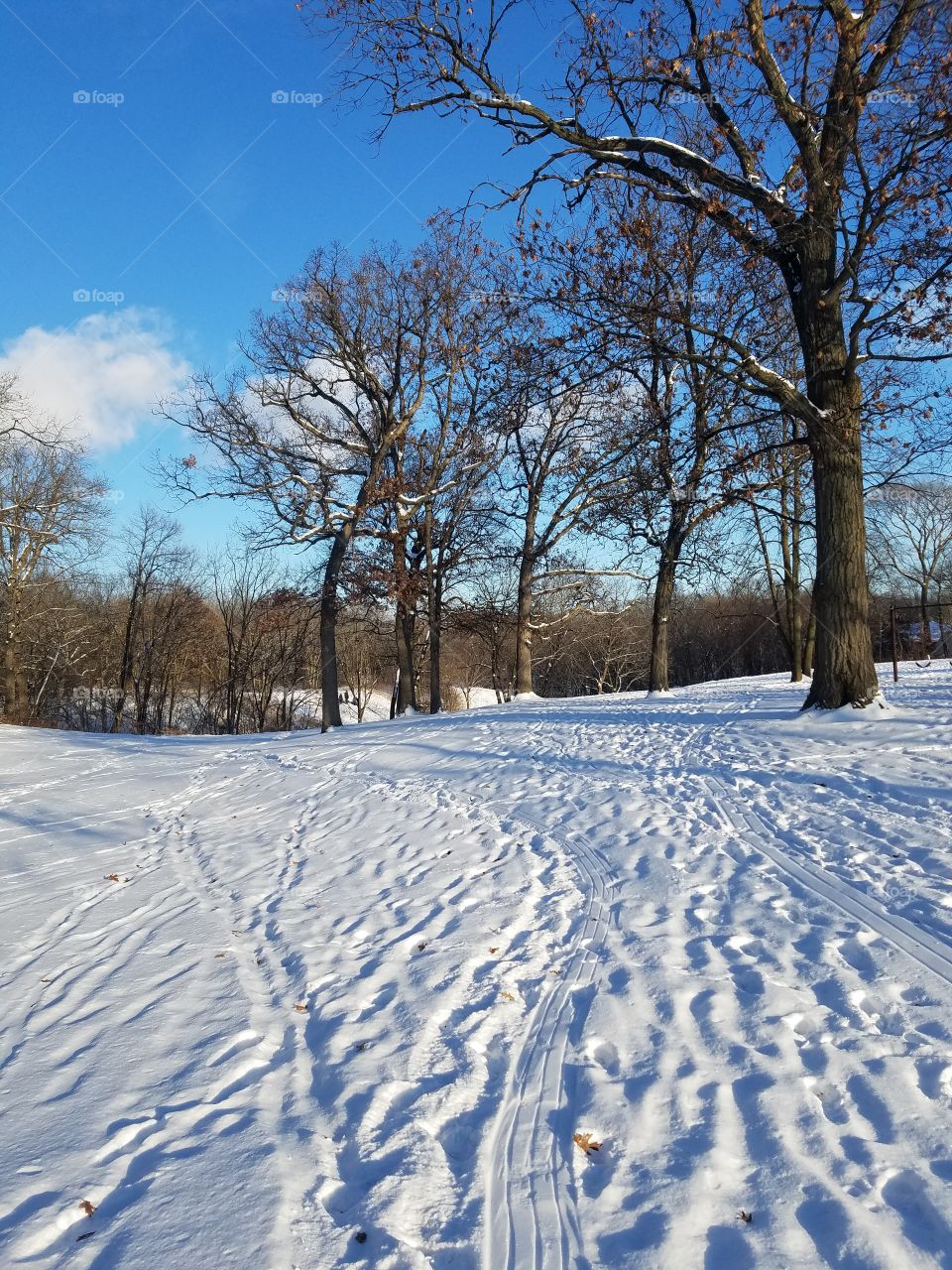 Winter Wonderland Park