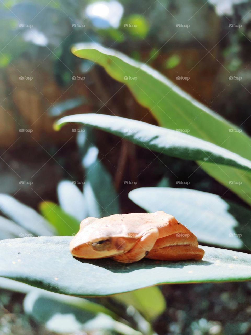 Struggling to survive in the cold