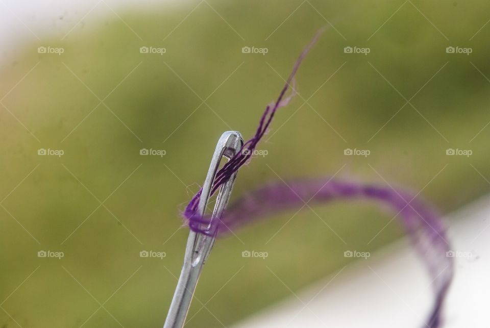 beautiful macro shot 