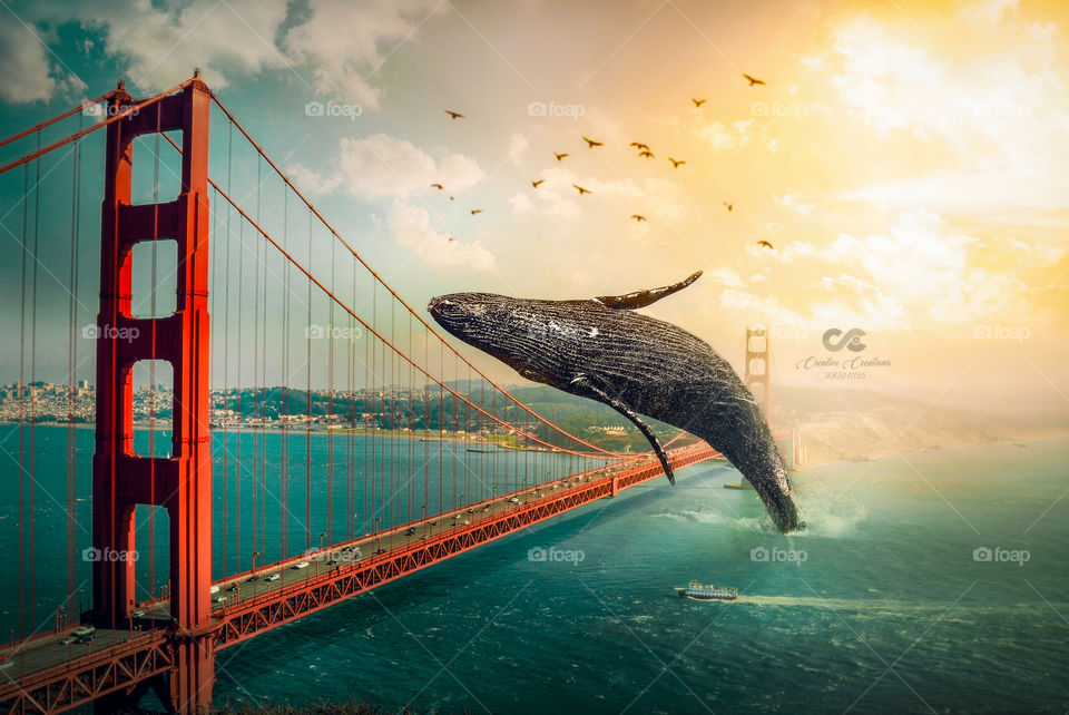 Golden Gate Bridge view