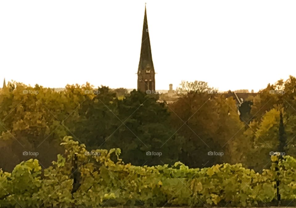 No Person, Landscape, Outdoors, Travel, Tree