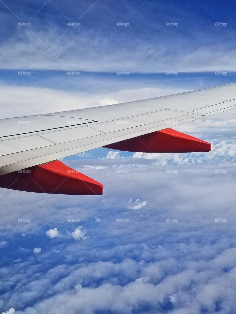 Flying through blue skies✈